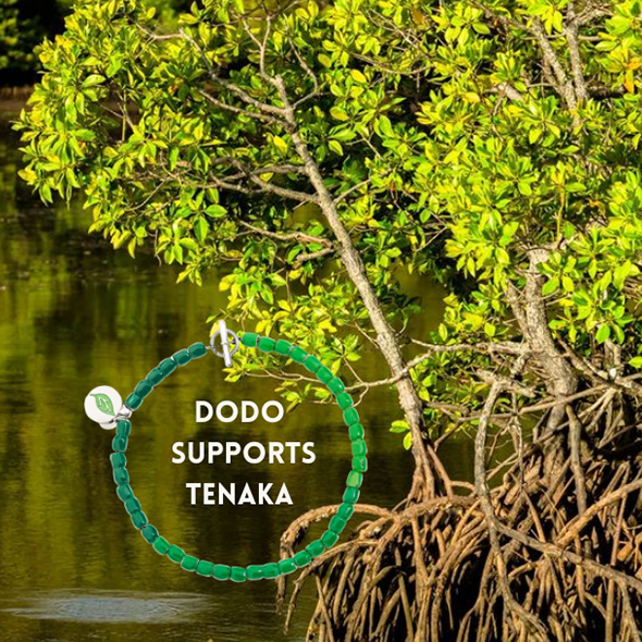 SPECIAL PROJECT: Dodo soutient Tenaka